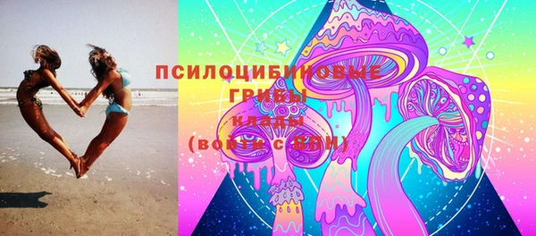 прущие крисы Арсеньев