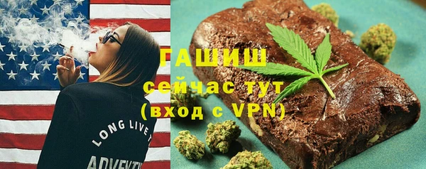 гидра Абаза