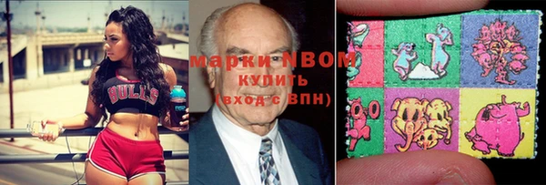 гидра Абаза