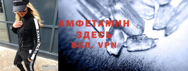 мет Алексин