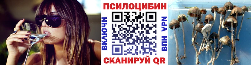 магазин    Чехов  Псилоцибиновые грибы MAGIC MUSHROOMS 